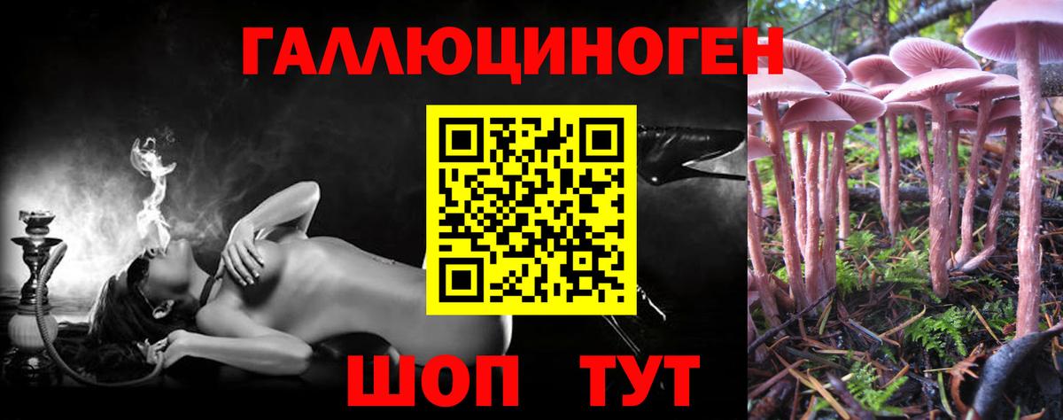 Галлюциногенные грибы GOLDEN TEACHER Сатка